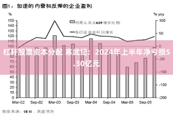 杠杆股票资本分配 寒武纪：2024年上半年净亏损5.30亿元