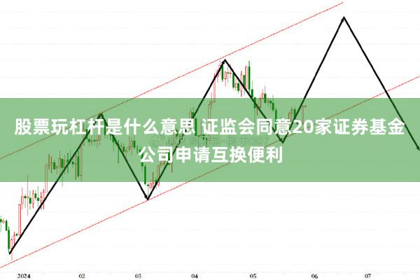 股票玩杠杆是什么意思 证监会同意20家证券基金公司申请互换便利