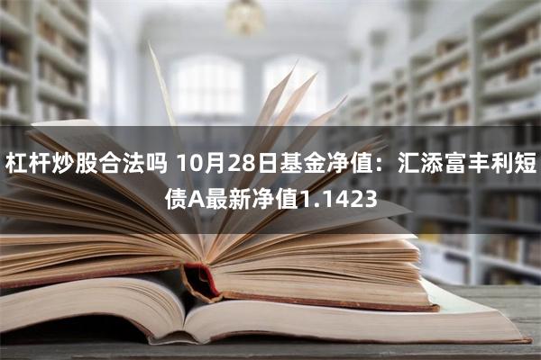 杠杆炒股合法吗 10月28日基金净值：汇添富丰利短债A最新净值1.1423