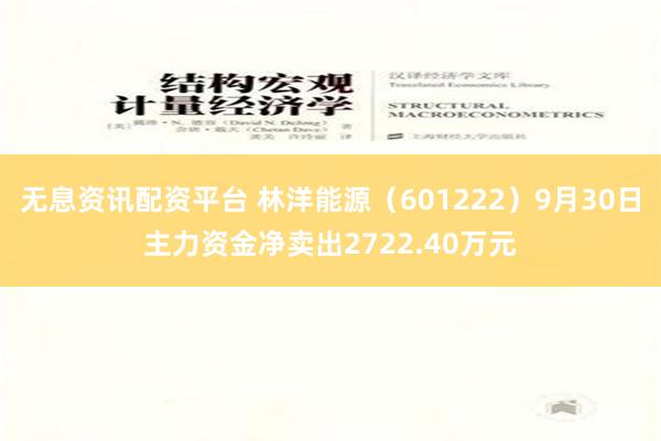 无息资讯配资平台 林洋能源（601222）9月30日主力资金净卖出2722.40万元