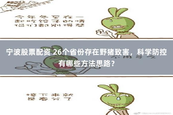 宁波股票配资 26个省份存在野猪致害，科学防控有哪些方法思路？