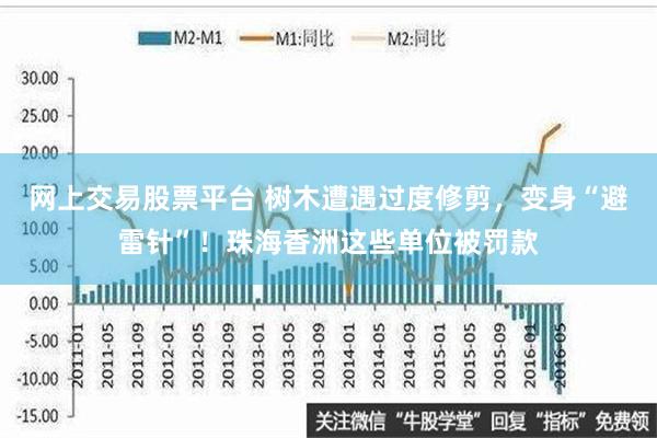 网上交易股票平台 树木遭遇过度修剪，变身“避雷针”！珠海香洲这些单位被罚款