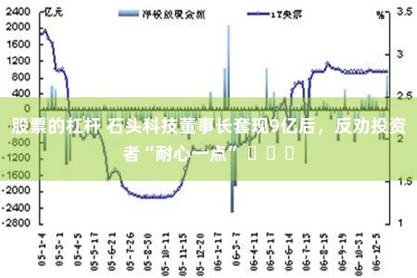 股票的杠杆 石头科技董事长套现9亿后，反劝投资者“耐心一点” ​​​