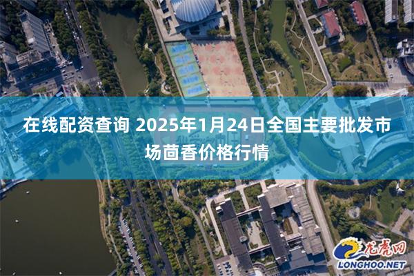 在线配资查询 2025年1月24日全国主要批发市场茴香价格行情