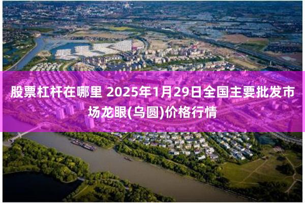 股票杠杆在哪里 2025年1月29日全国主要批发市场龙眼(乌圆)价格行情