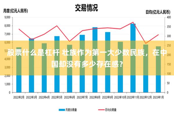 股票什么是杠杆 壮族作为第一大少数民族，在中国却没有多少存在感？