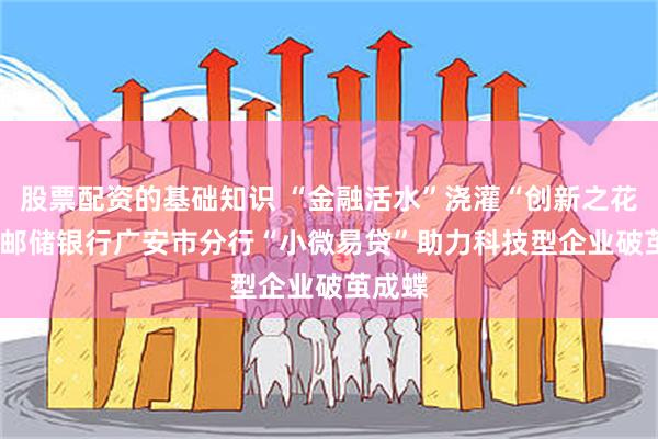 股票配资的基础知识 “金融活水”浇灌“创新之花” ——邮储银行广安市分行“小微易贷”助力科技型企业破茧成蝶